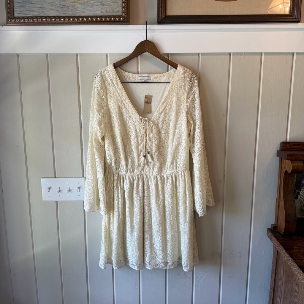 Nwt American Eagle Cream Lace Long-Sleeve Tie-Front Dress, Size Large